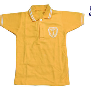 ST.FRANCIS  SCHOOL SSC PT T SHIRT YELLOW