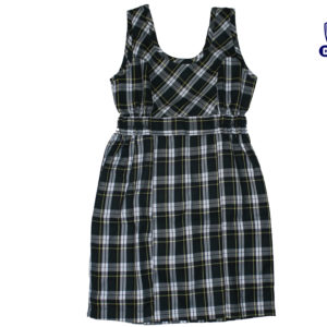 GOKULDHAM HIGH SCHOOL PINAFORE