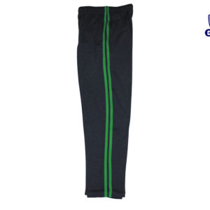 RYAN INTERNATIONAL GROUP OF INSTITUTIONS PT TRACK PANT GREEN